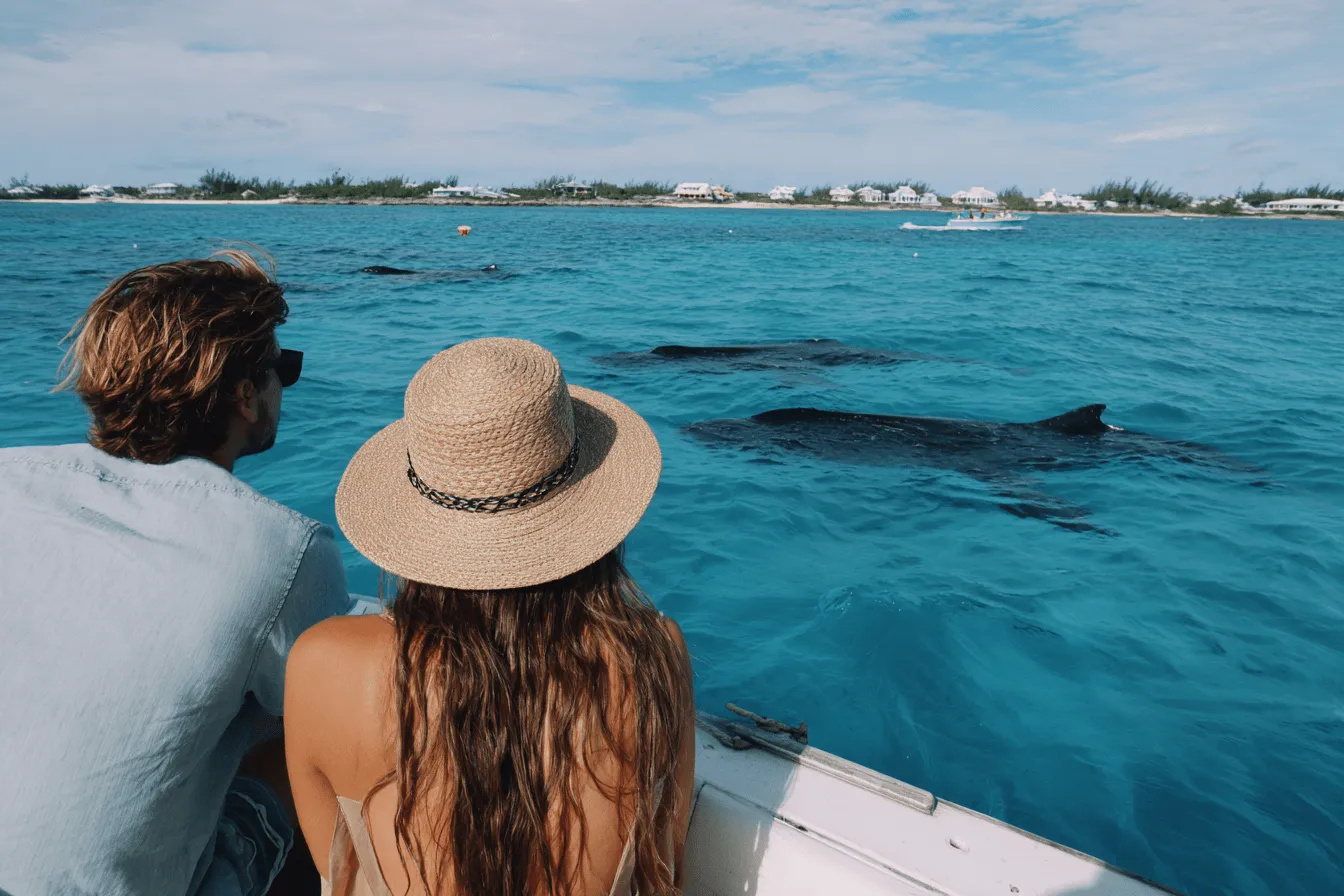 Whale Watching Fort Lauderdale Jet Stream